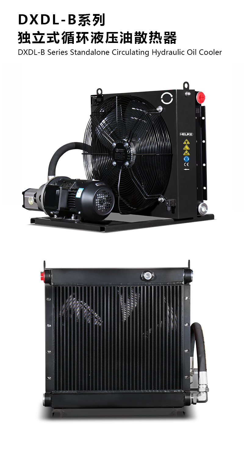 1770109041502573.jpg DXDLB.jpg